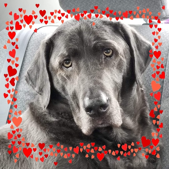 Meet your Posher, Vicky - Picture 1 of 1